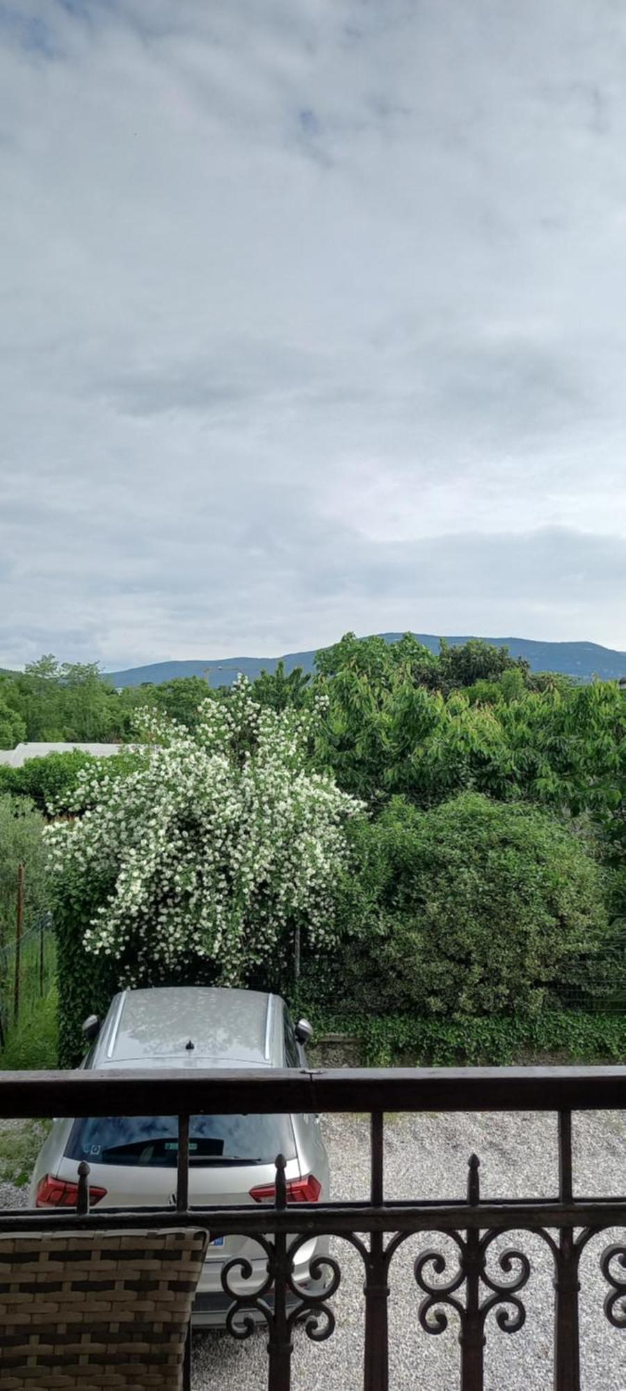 Casa Di Alice Apartment Gorizia Luaran gambar
